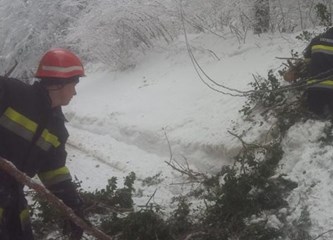 Zima neda mira vatrogascima: Uklanjali stablo na cesti u Poljanicama