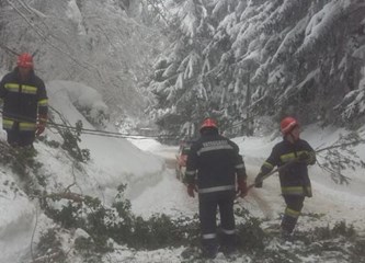 Zima neda mira vatrogascima: Uklanjali stablo na cesti u Poljanicama