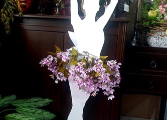 Izložba fotografija za 20 godina Baletnog studija Jastrebarsko