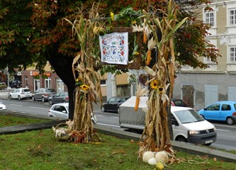 'Plac mljac': Jaskanski sajam zdrave i domaće hrane oduševio kupce, ali i izlagače i prodavače