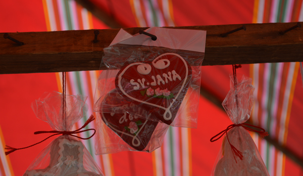 janino2.jpg