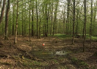 Tradicionalni i inovativni: Održali Neninu utrku i novi Noćni sprint