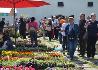 Festival Cvjetna Jaska