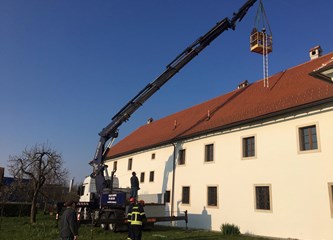 Vatrogasci već 30 dana na ispomoći svojim sugrađanima i Stožeru civilne zaštite u borbi protiv širenja koronavirusa