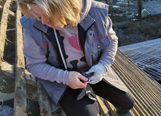 FOTO: Brojni naši sugrađani pomažu na stradalim područjima: Heroina Sanela popravlja krovove!