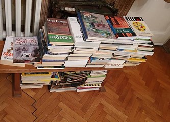 Krašić dobiva knjižnicu: Prve knjige darovala poznata Regica iz "Gruntovčana"