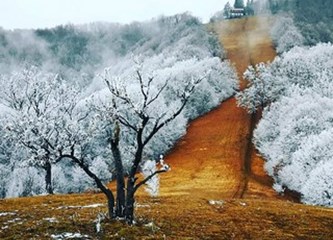 PHOTO ZAGREB COUNTY Pobjedničku fotografiju Japetića snimila Jaskanka Anita Škoc