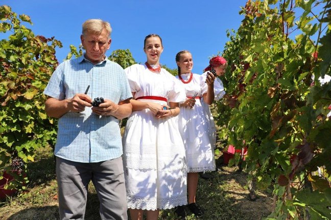 FOTO Berba portugisca na Plešivici: „Manji urod dao vrhunsko grožđe, imat ćemo fina vina!“