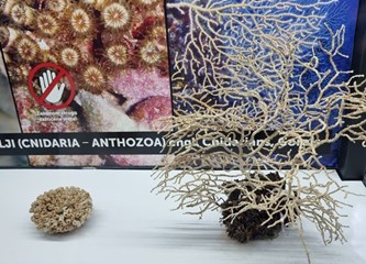 Jaskanskim školarcima stigla edukativna izložba o blagu jadranskog podmorja smještena u autobusu!