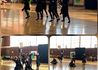 Plesačice PS Instinct županijske prvakinje u sportskom plesu!