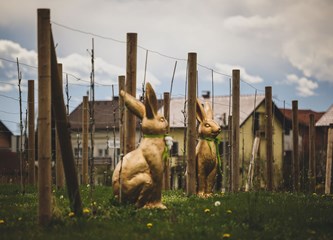 FOTO: Pisanice i zečići krase Jasku na tri lokacije