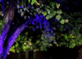 "Pjesnička dvorišta" u Jastrebarsko dovela "dušu Dalmacije"